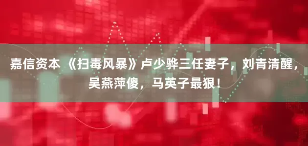 嘉信资本 《扫毒风暴》卢少骅三任妻子，刘青清醒，吴燕萍傻，马英子最狠！