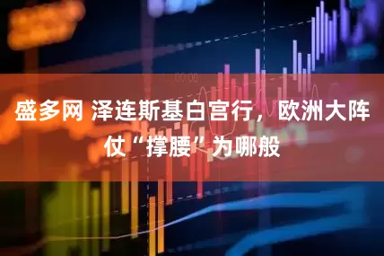 盛多网 泽连斯基白宫行，欧洲大阵仗“撑腰”为哪般