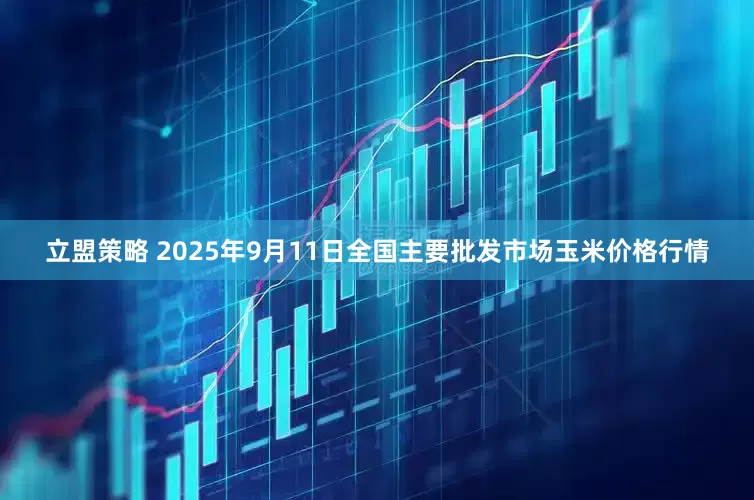 立盟策略 2025年9月11日全国主要批发市场玉米价格行情