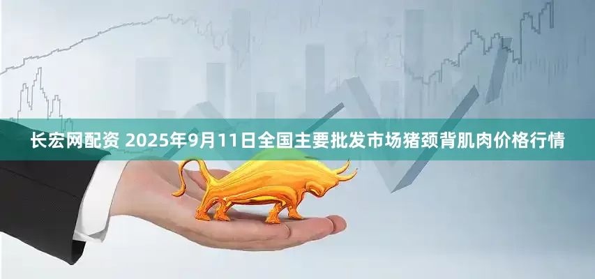 长宏网配资 2025年9月11日全国主要批发市场猪颈背肌肉价格行情