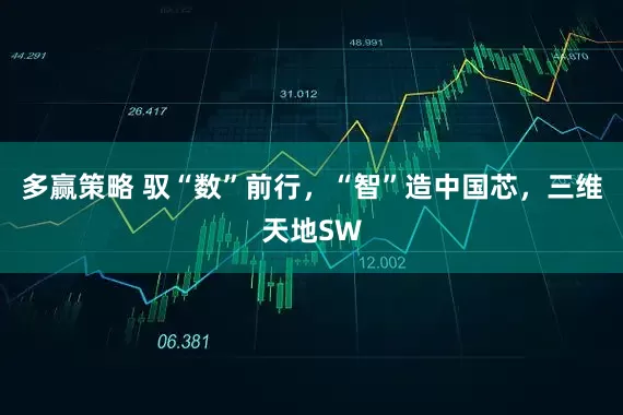 多赢策略 驭“数”前行，“智”造中国芯，三维天地SW