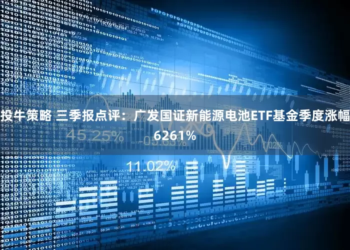 投牛策略 三季报点评：广发国证新能源电池ETF基金季度涨幅6261%